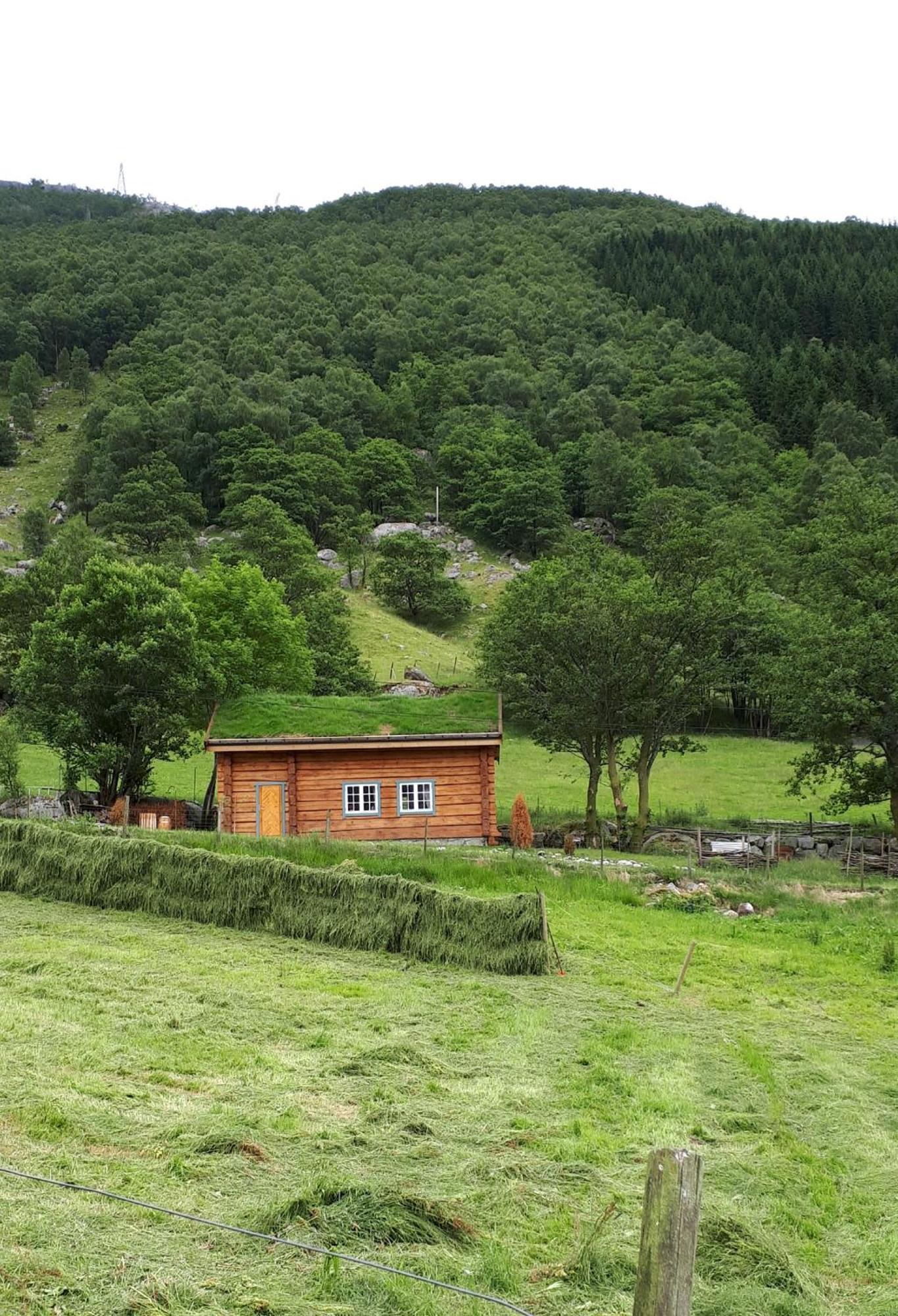Hytte Ved Preikestolen Forsand Exterior photo